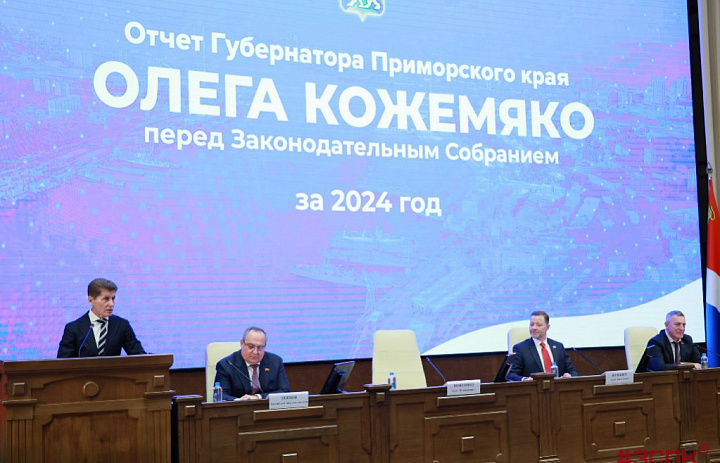 Антон Волошко: У Губернатора есть чёткий стратегический план развития Приморского края
