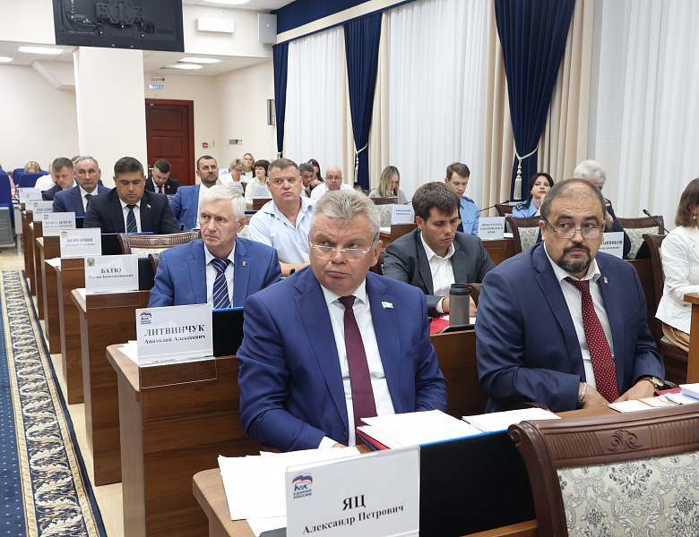 Муниципалитеты в Хабаровском крае будут сами регулировать порядок размещения СИМ
