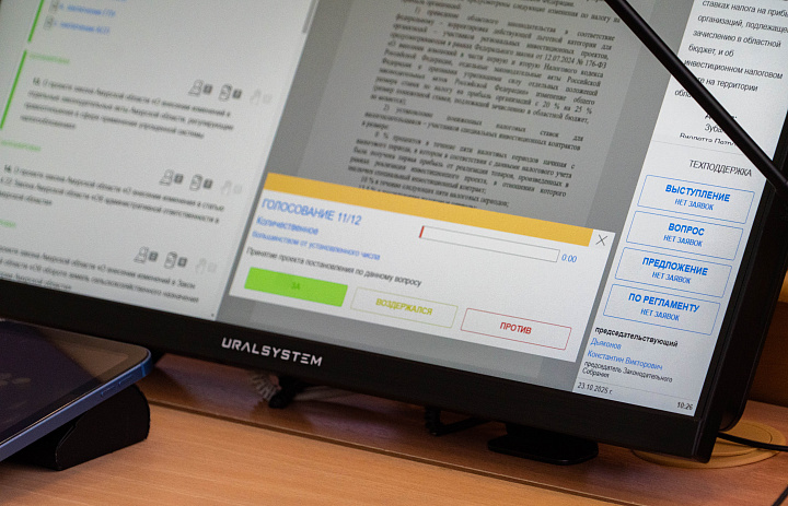 Для депутатов муниципальных образований Приамурья меняется порядок предоставления сведений о доходах