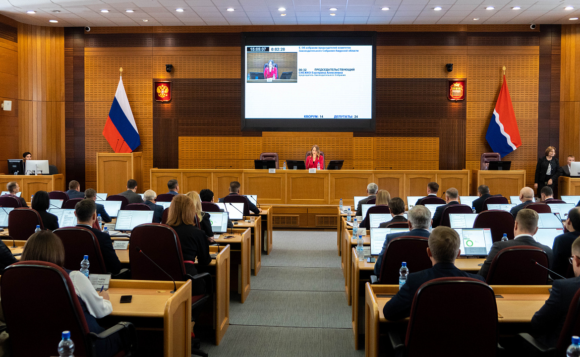 В Законодательном Собрании Амурской области сформированы четыре  комитета
