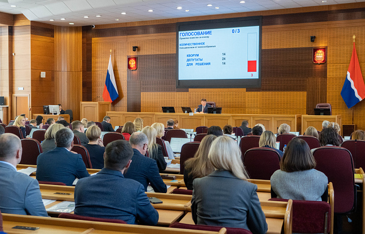 Депутаты Законодательного Собрания Амурской области проголосовали за спокойствие граждан и правопорядок на улицах