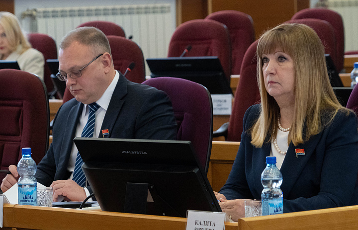 Новая мера поддержки матерей-героинь разработана в Амурской области