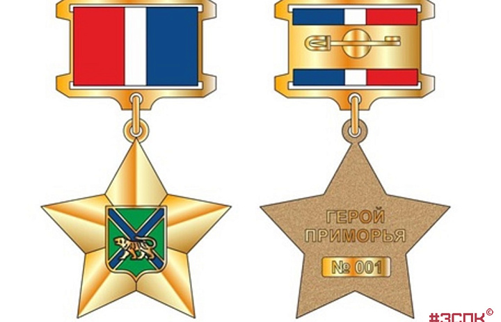 Награда для героев СВО учреждена в Приморье