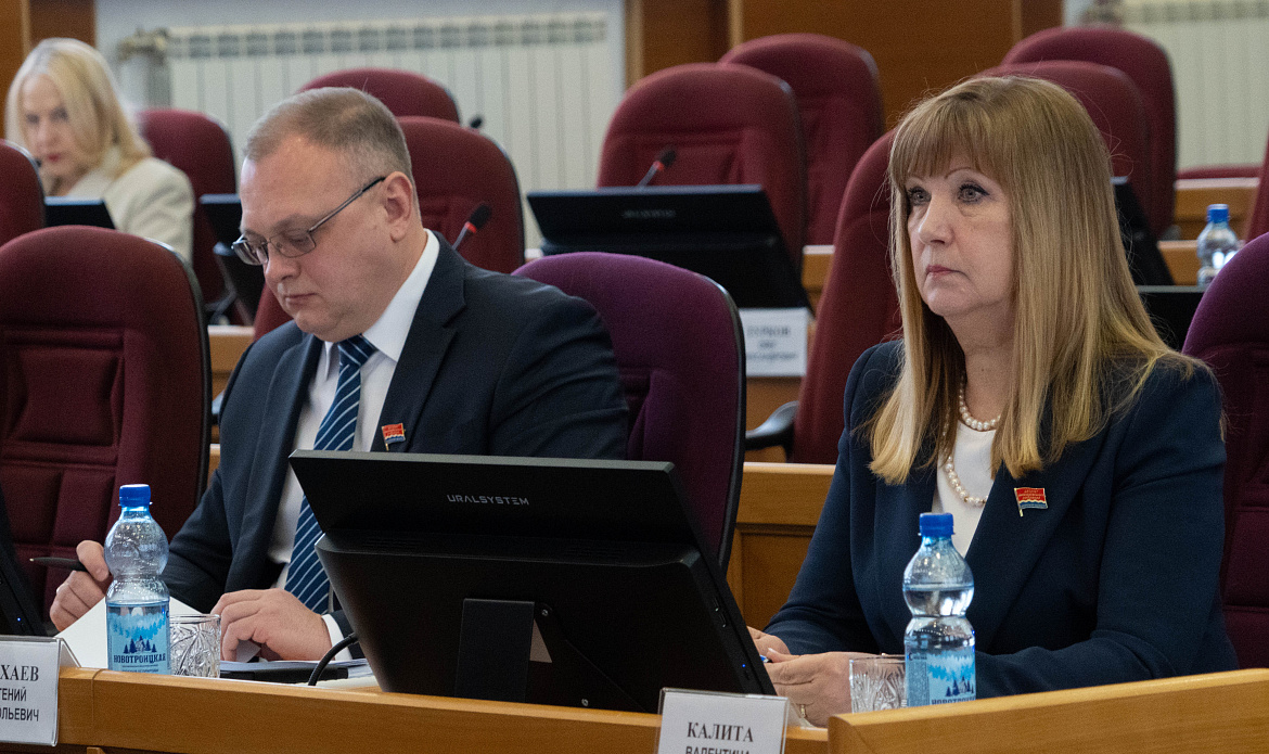 Новая мера поддержки матерей-героинь разработана в Амурской области