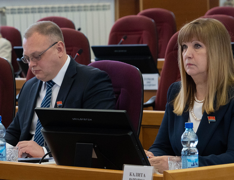 Новая мера поддержки матерей-героинь разработана в Амурской области