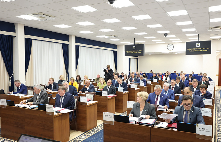 Административный штраф за создание препятствий для вывоза мусора установили Хабаровском крае