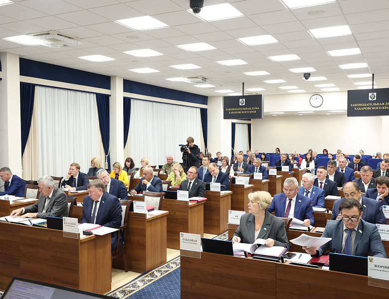 Административный штраф за создание препятствий для вывоза мусора установили Хабаровском крае