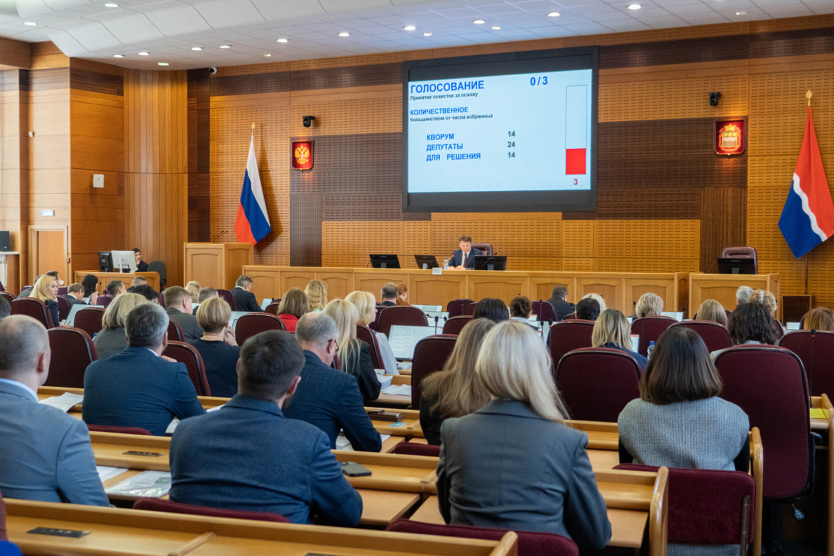 Депутаты Законодательного Собрания Амурской области проголосовали за спокойствие граждан и правопорядок на улицах