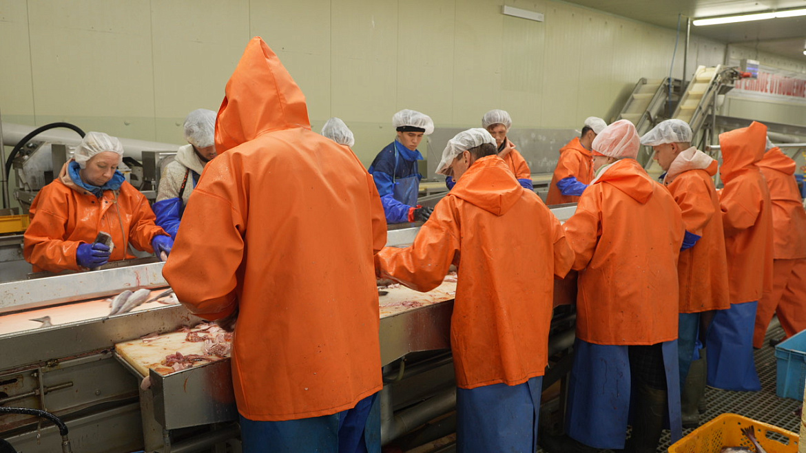 Камчатский парламент предложил перенести срок переоформления договоров на пользование рыболовными участками с 2025 на 2026 год